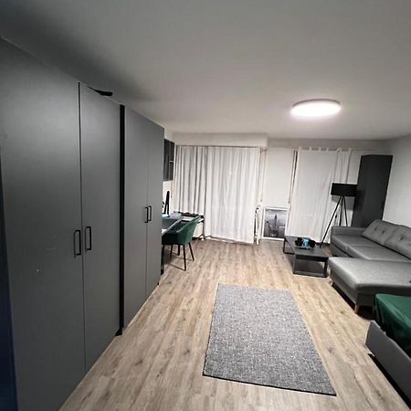 Business Apartment Karlsruhe Kültér fotó