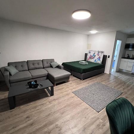 Business Apartment Karlsruhe Kültér fotó