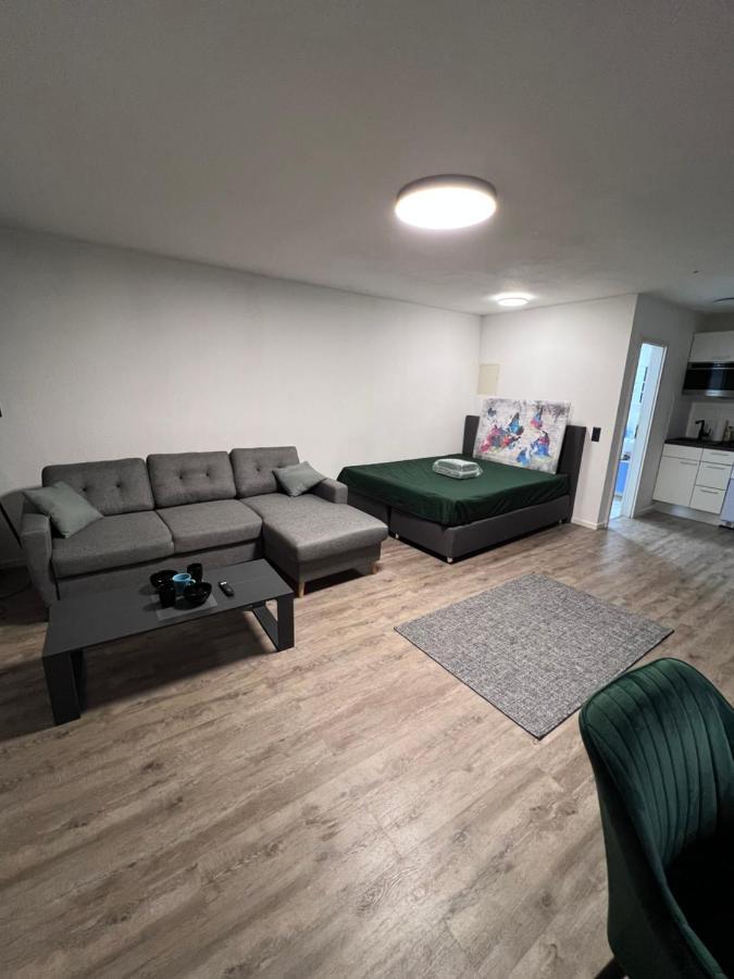 Business Apartment Karlsruhe Kültér fotó